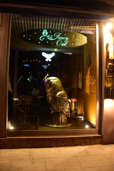 Fancy Owl on Friday night 